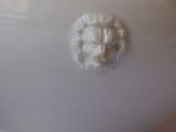 a white vase with a lion head on it
