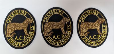 trois insignes noirs et dorés sur lesquels figure un chien