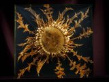 a picture of a dried sunflower in a glass case