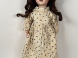 an image of a doll with long brown hair wearing a dress