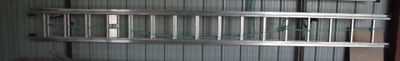 une image représentant une cage avec un oiseau à l'intérieur