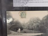 a picture of a man and a woman walking a dog in a park