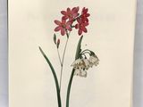 a close up of a card with a flower on it