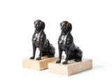 une paire de statues de chiens en bronze sur des socles en marbre, sur fond blanc