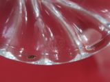 un petit insecte qui se trouve à l'intérieur d'un verre