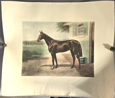 une photo d'un cheval debout devant un bâtiment