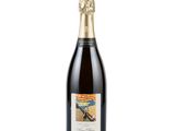 a bottle of champagne on a white background