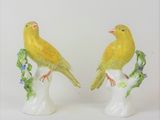 two yellow birds sitting on a branch of a tree