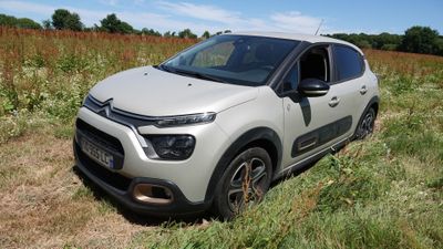 La petite voiture est garée dans un champ d'herbes hautes.