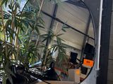 a mirror that is sitting in a box with a plant in it