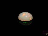 a close up of a white oplite in the dark