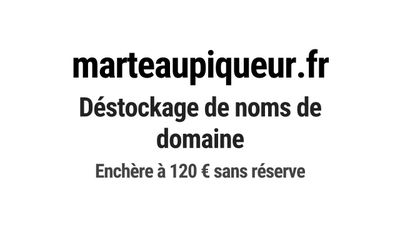 Nom de domaine marteaupiqueur.fr.