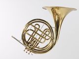 an image of a brass french horn on a white background