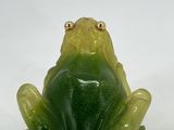 a green and yellow frog sitting on a white surface