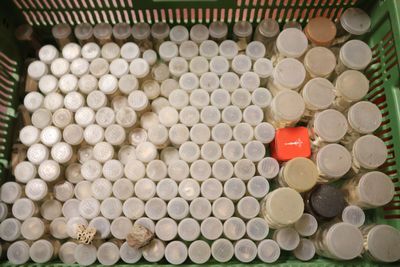 un panier vert rempli d'une multitude de gobelets en plastique