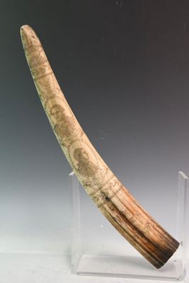 Scrimshaw en résine imitant une dent de morse finement gravé…