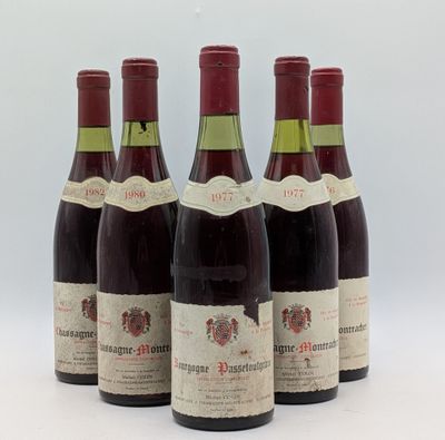 six bouteilles de vin sont alignées sur une surface blanche