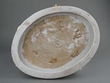 a white plate with a brown design on it