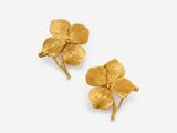 a pair of gold flower earrings on a white background