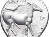 an image of a silver coin with a horse and birds on it