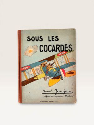 an old book with a picture of a dog flying in an airplane