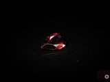 gros plan d'un diamant rouge sur une surface noire