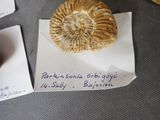 a pastry on a piece of paper next to a cup of coffee