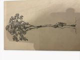 a picture of a drawing of a tree on the wall