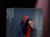 un bocal en verre contenant un poisson rouge et bleu