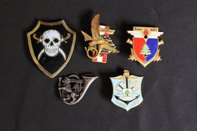plusieurs types de badges sont présentés sur une surface noire