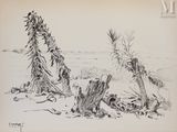 une image représentant un dessin d'une souche d'arbre dans le sable