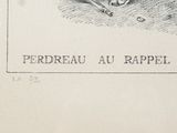 Photo 4/5 du lot