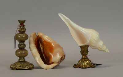 a shell and a candle on a table