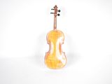 an image of a violin on a white surface with a white background