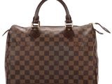 louis vuitton speedy speedy bag