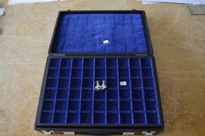un étui noir avec une doublure en velours bleu au fond
