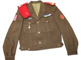 an image of a military jacket with patches on the collar