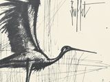 drawing of a bird with its wings spread out in the air