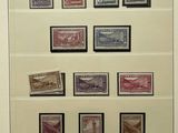 framed picture of a collection of postage stamps in a white frame