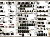 a picture of a display of beetles on a wall