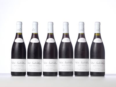 six bouteilles de vin alignées sur une table