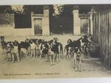 beaucoup de chiens qui se trouvent devant un immeuble