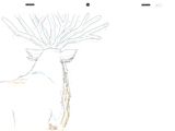 un dessin représentant un cerf avec un oiseau posé sur sa tête