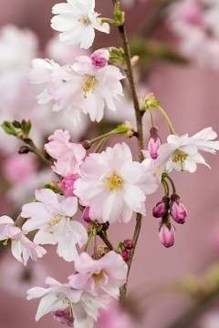 Destockage & Invendus