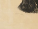drawing of a black and white dog with long hair and a collar