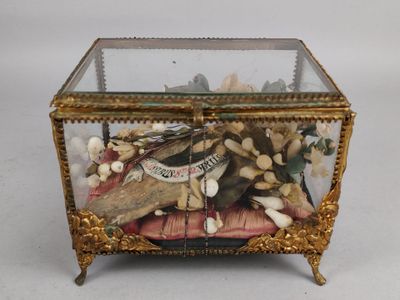 une boîte en verre posée sur une table, contenant des coquillages