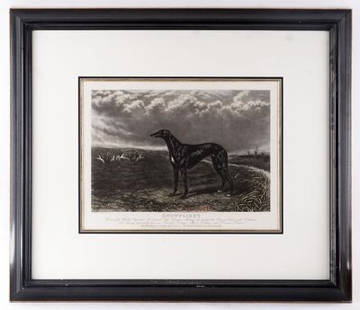 an old picture of a dog standing in a field with a sky background