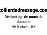 Photo 1/1 du lot