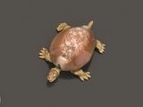 Photo 1/4 du lot