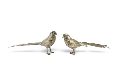 Deux oiseaux argentés sont posés l'un à côté de l'autre sur une surface blanche